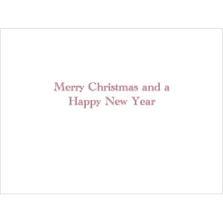 Clearance Gordon: Santa at Mailbox Holiday Cards Holiday Cards
