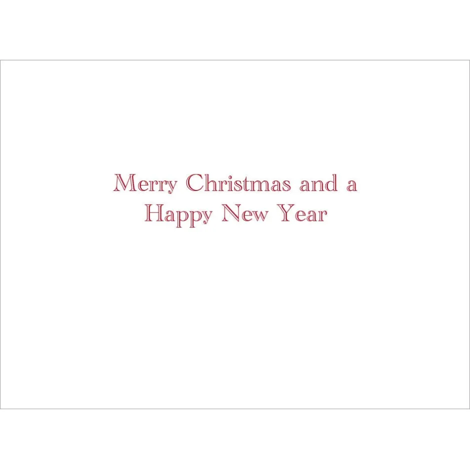 Clearance Gordon: Santa at Mailbox Holiday Cards Holiday Cards
