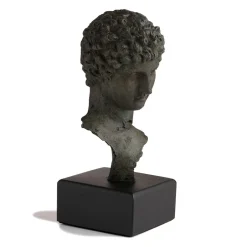 Outlet Head of a Youth Sculpture Sculpture