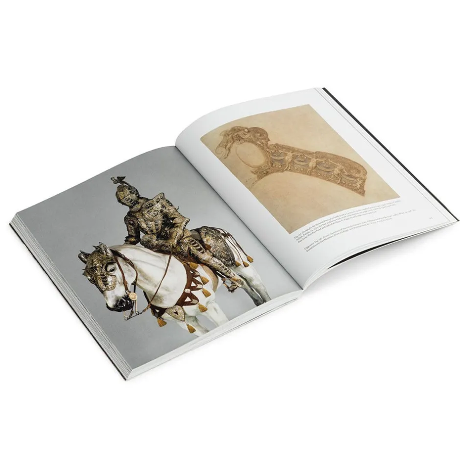 Hot How to Read European Armor Met Publications|Art History & Reference
