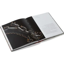 Clearance Lives of the Gods: Divinity in Maya Art Met Publications|Exhibition Catalogues