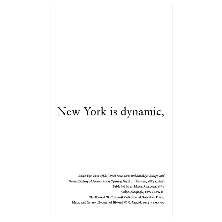 Discount NEW YORK IS... Met Publications