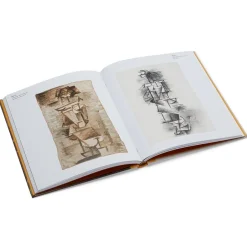 Clearance Picasso: A Cubist Commission in Brooklyn Coffee Table Books|Met Publications