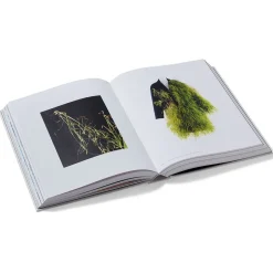 Sale Sleeping Beauties: Reawakening Fashion Coffee Table Books|Met Publications