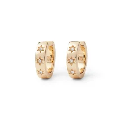 Hot Star Huggie Earrings Earrings