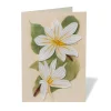 Discount Studies of Magnolias Quilled Card Notecards & Correspondence