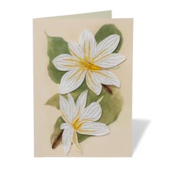 Discount Studies of Magnolias Quilled Card Notecards & Correspondence