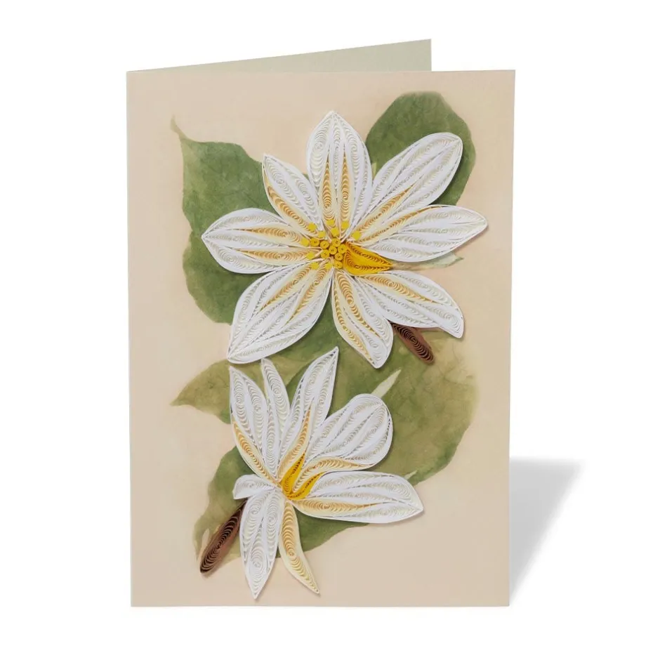 Discount Studies of Magnolias Quilled Card Notecards & Correspondence