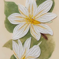 Discount Studies of Magnolias Quilled Card Notecards & Correspondence