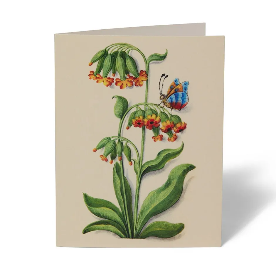 Online The Met Cloisters Garden Notecards Notecards & Correspondence