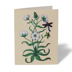 Online The Met Cloisters Garden Notecards Notecards & Correspondence