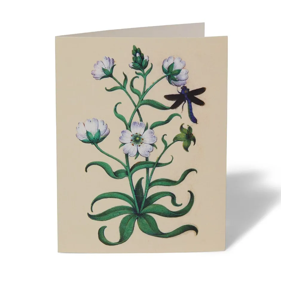 Online The Met Cloisters Garden Notecards Notecards & Correspondence