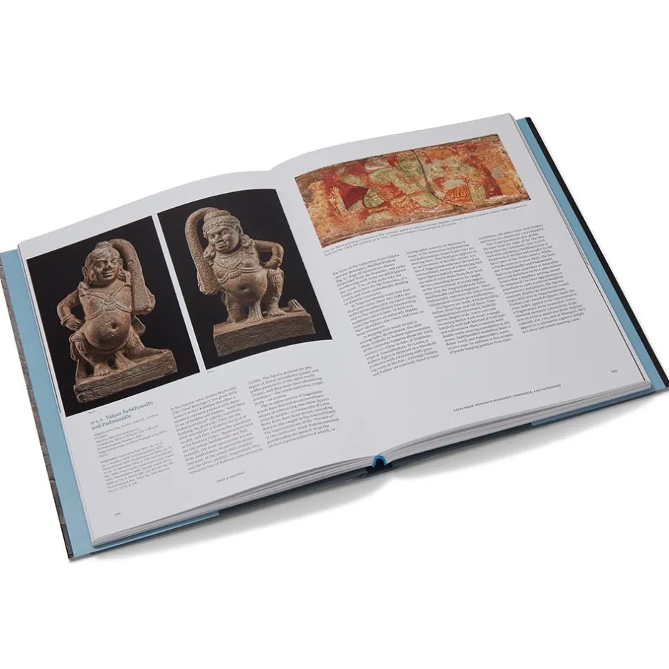 Discount Tree & Serpent: Early Buddhist Art in India Met Publications|Exhibition Catalogues