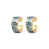 Sale Van Gogh Irises Enamel Hoop Earrings Earrings